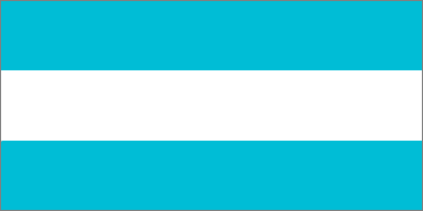 Argentina (without badge)